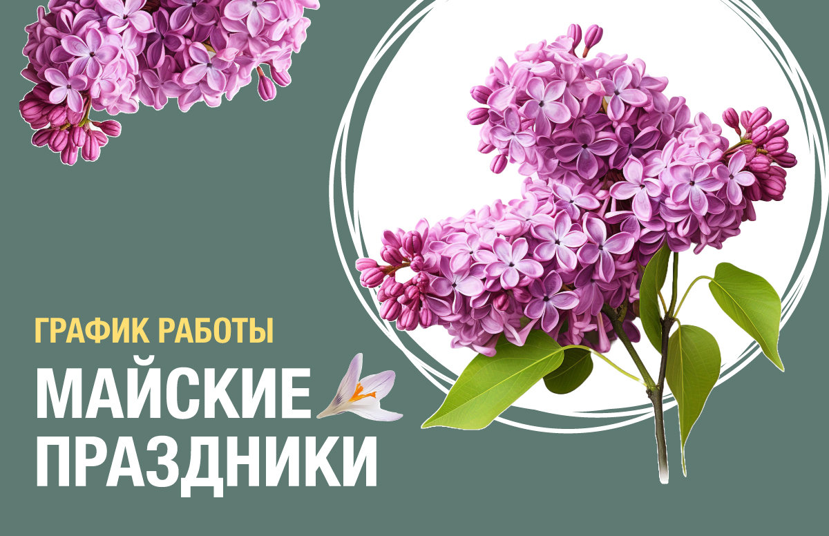 Blog-img